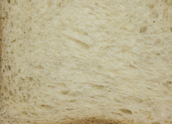 Similar image 21084717