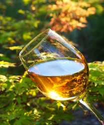 Similar image 21091548