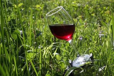 Similar image 21091549