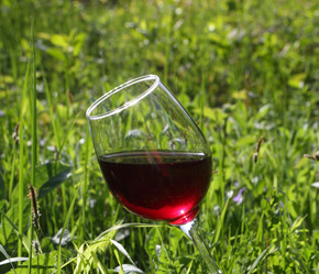 Similar image 21091550