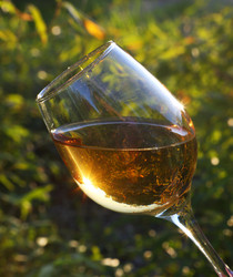 Similar image 21091551