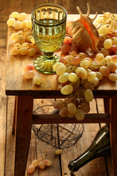 Similar image 21094612