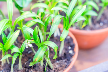 Similar image 21081976