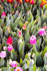 Similar image 21081977