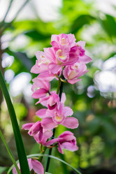 Similar image 21081979