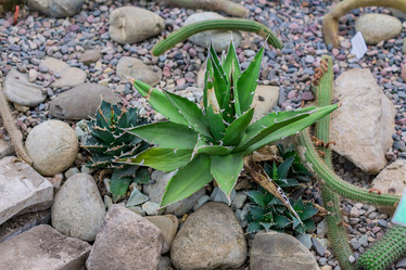 Similar image 21081984