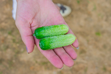 Similar image 21081985