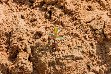 Similar image 21081988