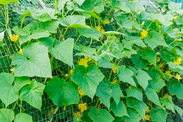 Similar image 21086531