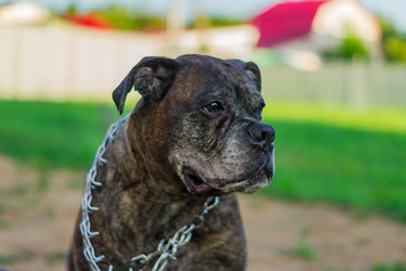 Similar image 21088498