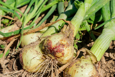 Similar image 21088505