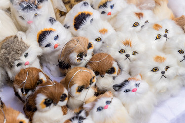 Similar image 21086348