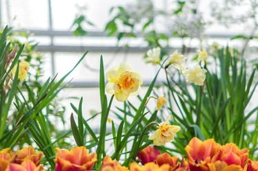 Similar image 21086441