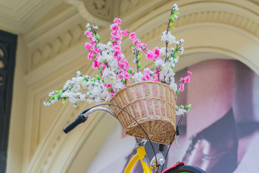 Similar image 21086442