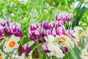 Similar image 21086443