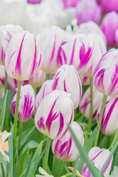 Similar image 21086446