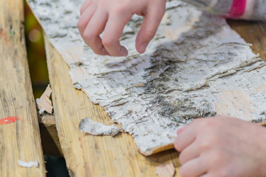 Similar image 21086447