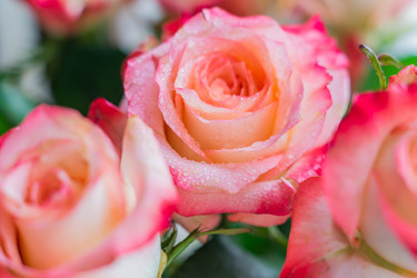 Similar image 21086449