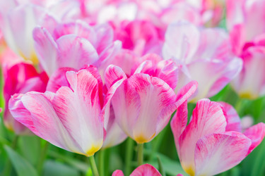 Similar image 21086451