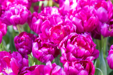 Similar image 21086546