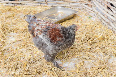 Similar image 21086549