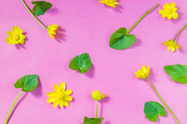 Similar image 21088508