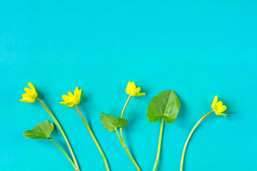 Similar image 21088509