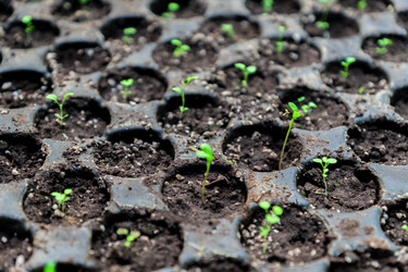 Similar image 21088514