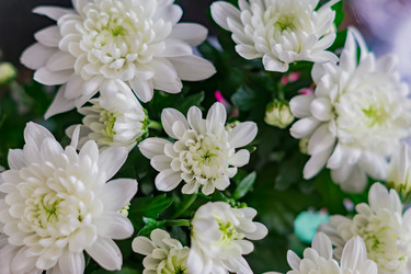 Similar image 21088523