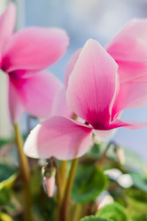 Similar image 21088525