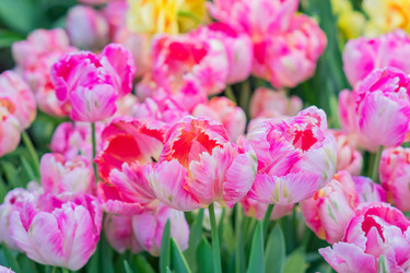 Similar image 21081995