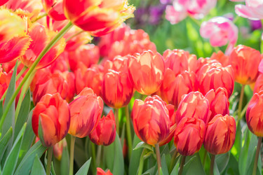 Similar image 21081997