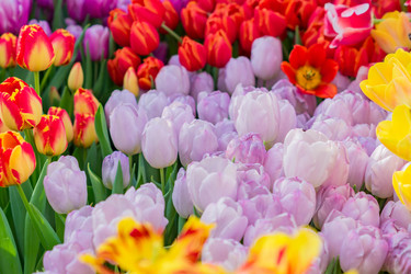 Similar image 21082002