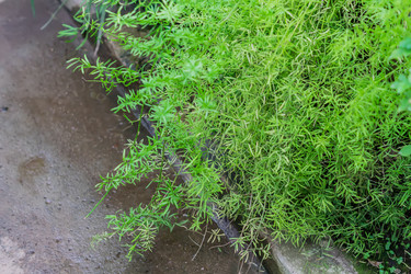 Similar image 21082010