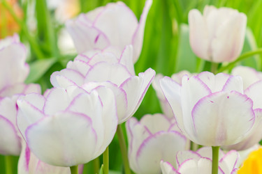 Similar image 21086356