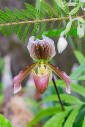 Similar image 21086357