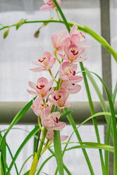 Similar image 21086453