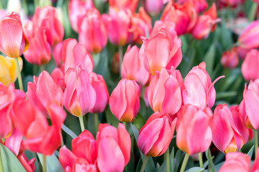 Similar image 21086454