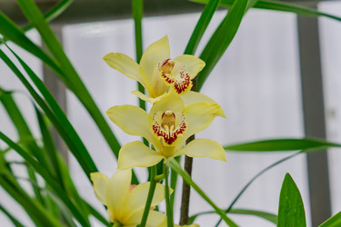 Similar image 21086455