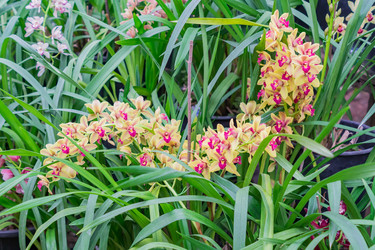 Similar image 21086457