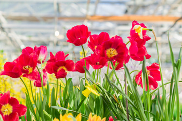 Similar image 21086459