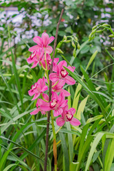 Similar image 21086460