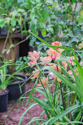 Similar image 21086461