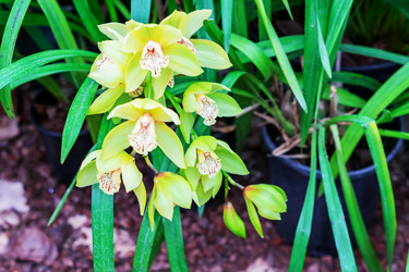 Similar image 21086462