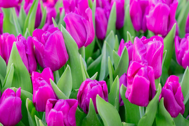 Similar image 21086465