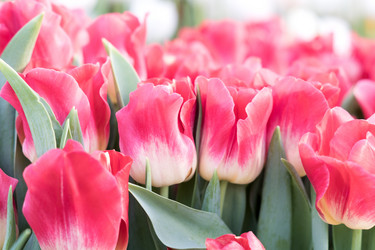 Similar image 21086559