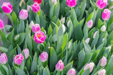 Similar image 21086560