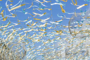 Similar image 21086568