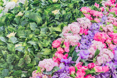 Similar image 21086570