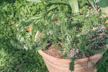 Similar image 21082018